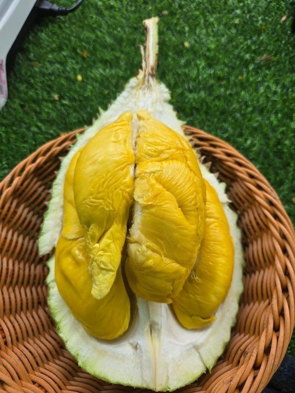 精品当季榴莲果肉特写